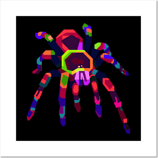 Rainbow Tarantula - No Shadow Posters and Art